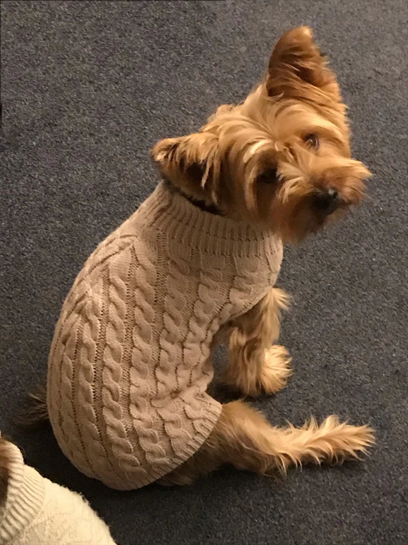 Thick Winter Dog Sweater – Cozy Pullover for Small Dogs