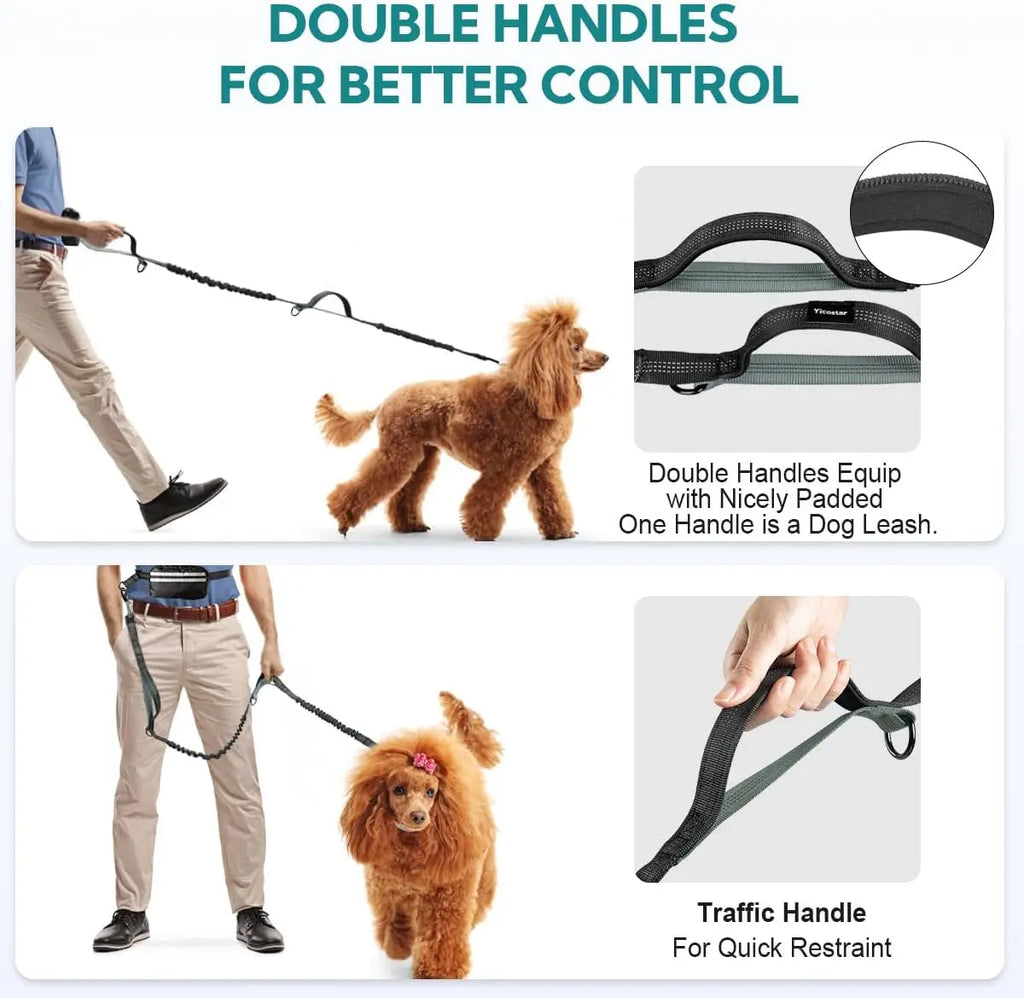 Double Hands Free Dog Leash – Bungee Waist Leash for Two Dogs