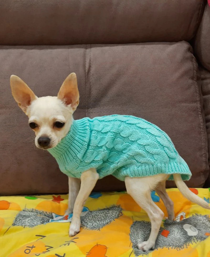 Thick Winter Dog Sweater – Cozy Pullover for Small Dogs