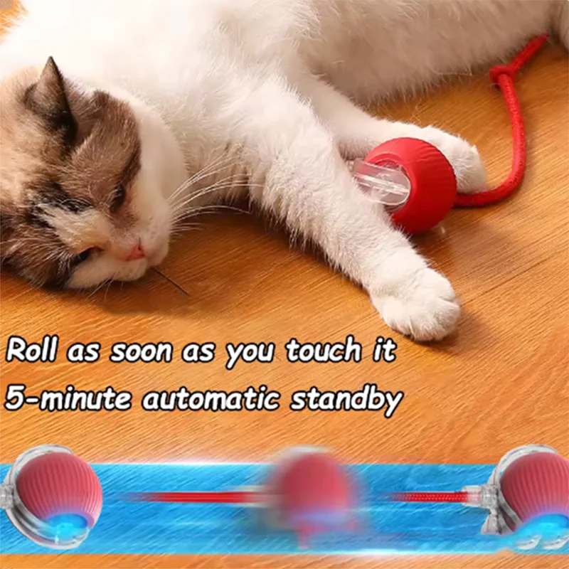 Interactive Smart Cat Toy Ball – USB Rechargeable Automatic Rolling Pet Toy