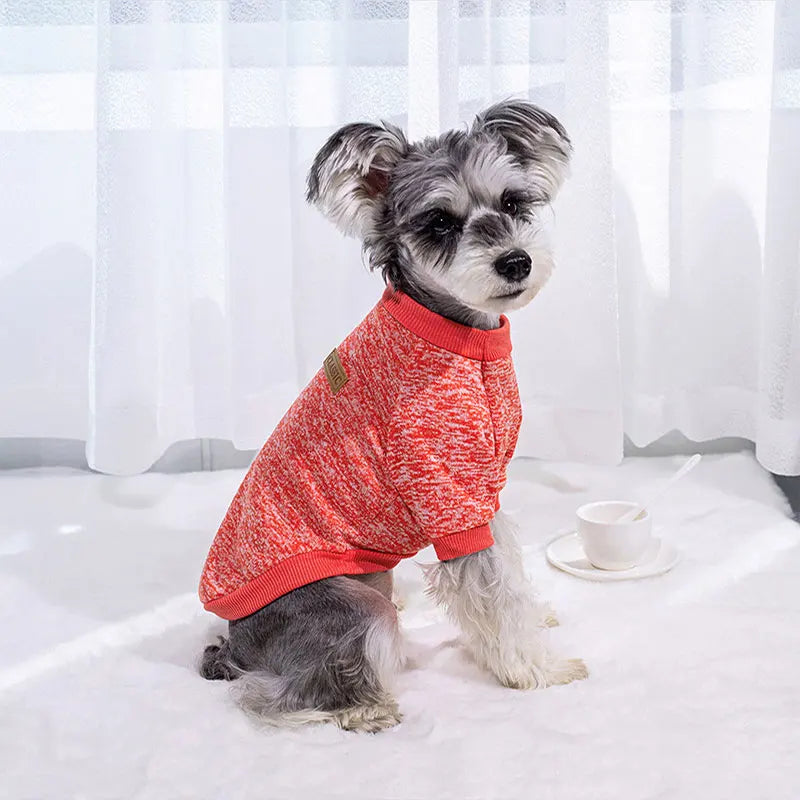 Cozy Small Dog Sweater – Warm Winter Pullover for Puppies