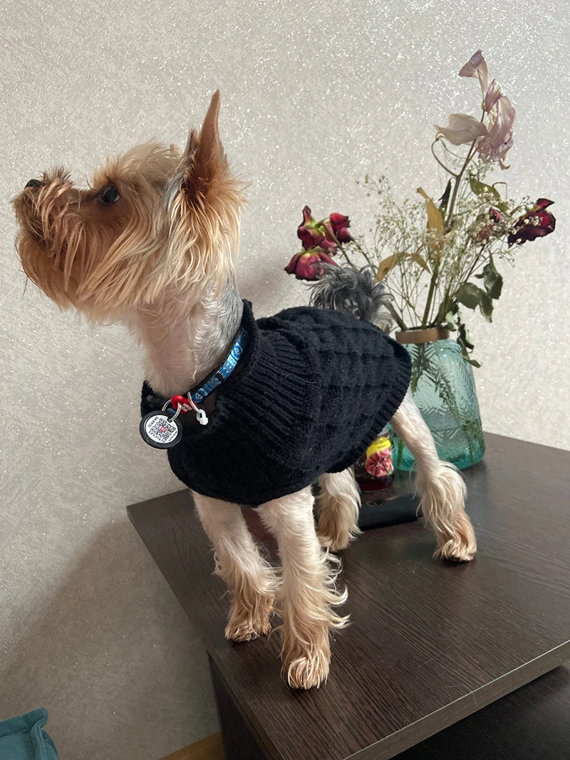 Thick Winter Dog Sweater – Cozy Pullover for Small Dogs