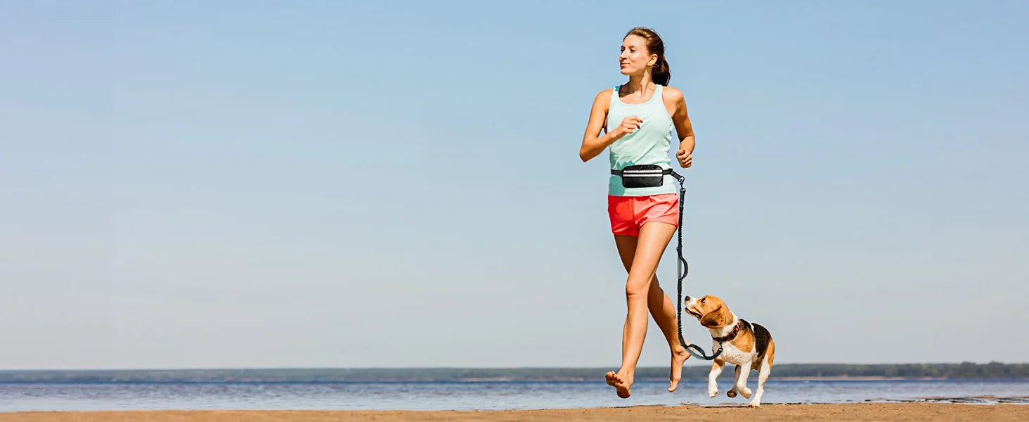 Double Hands Free Dog Leash – Bungee Waist Leash for Two Dogs