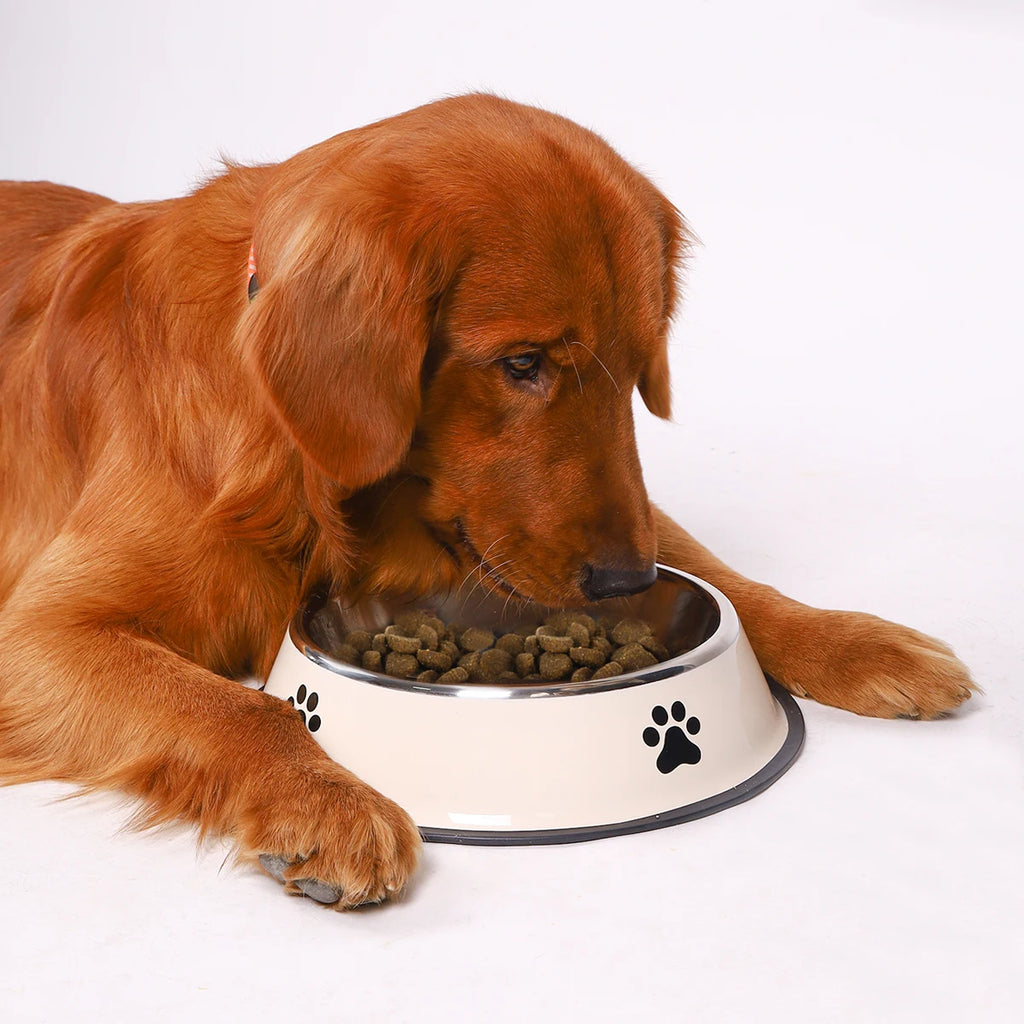 Stainless Steel Dog & Cat Bowls – Non Slip, Rust-Resistant Pet Feeding Bowl