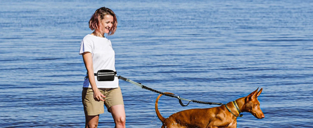 Double Hands Free Dog Leash – Bungee Waist Leash for Two Dogs