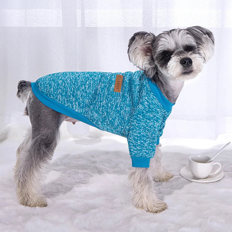 Cozy Small Dog Sweater – Warm Winter Pullover for Puppies