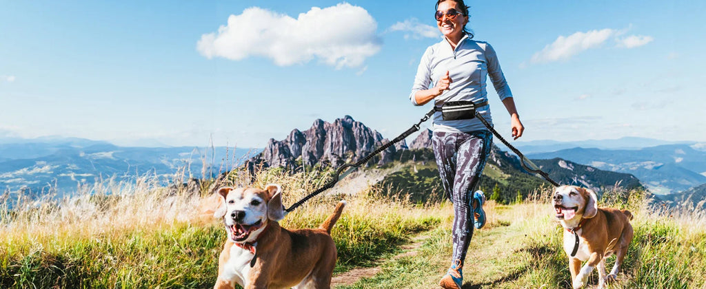 Double Hands Free Dog Leash – Bungee Waist Leash for Two Dogs