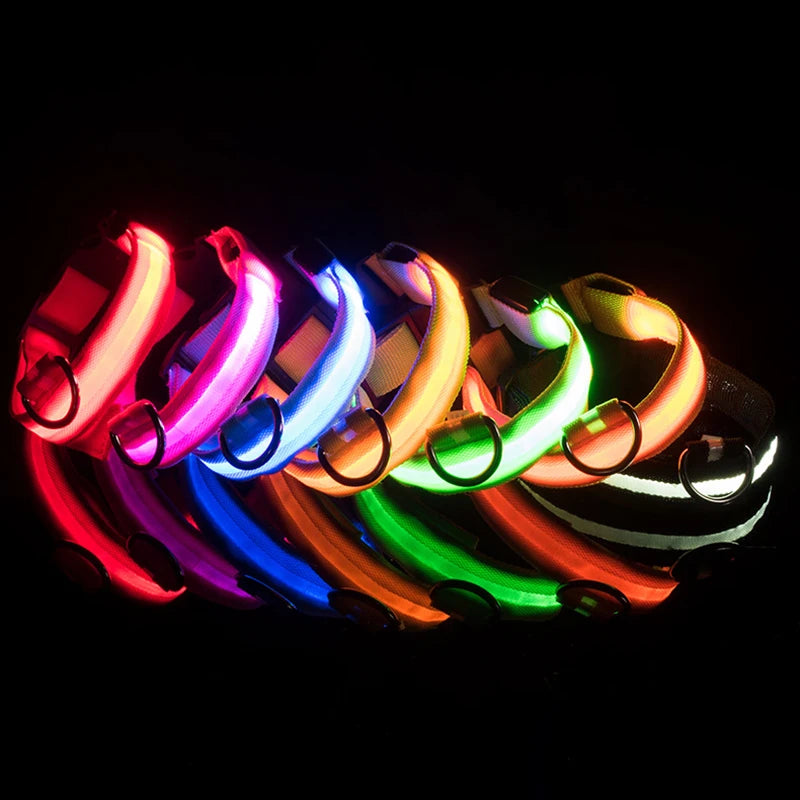 Assorted LED light-up dog collars displayed together showing different colors and designs