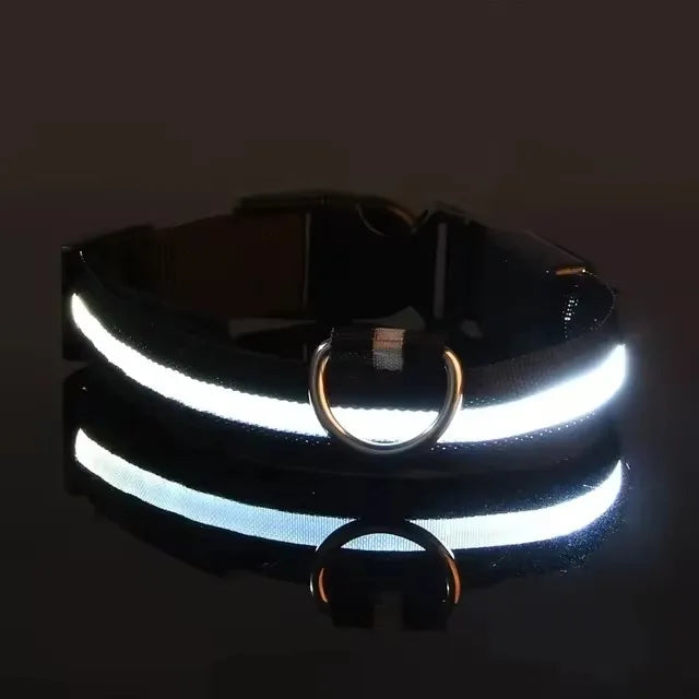 Black LED light-up dog collar displayed on a black background with the LED turned on