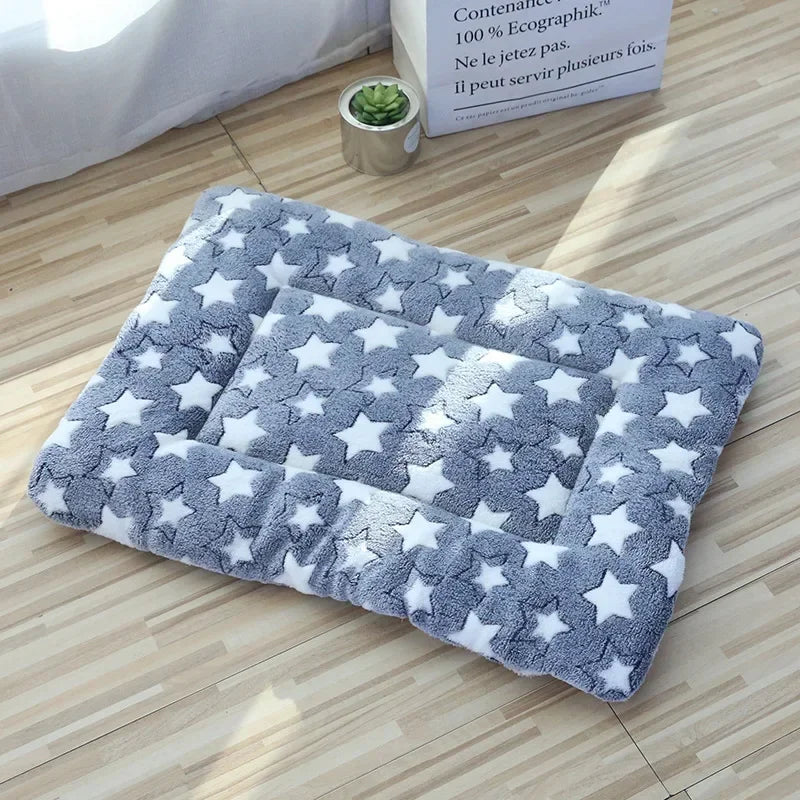 Blue double-sided pet mat with white star pattern displayed on a plain background