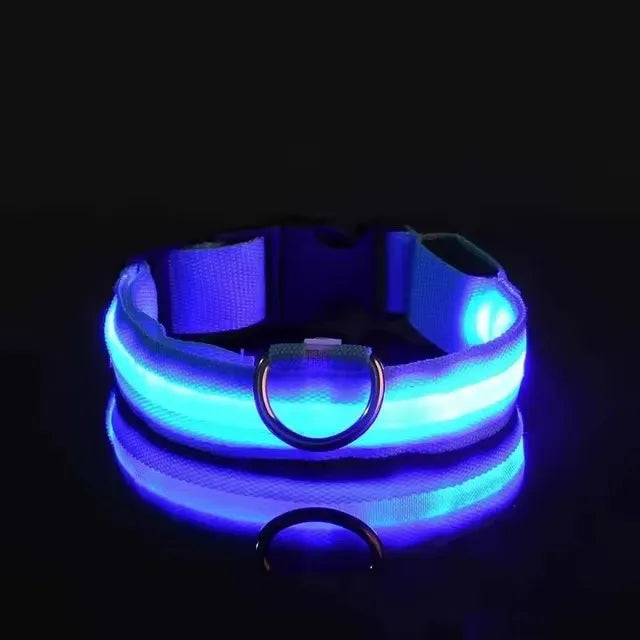 BLUE LED light-up dog collar displayed on a black background with the LED turned on