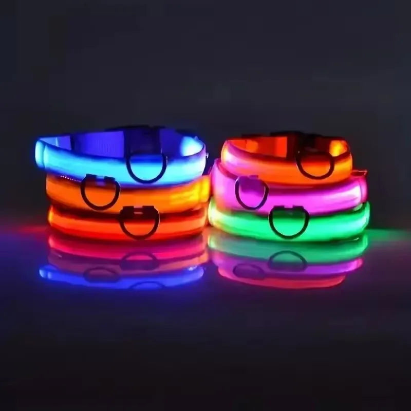 Set of LED light-up dog collars displayed together