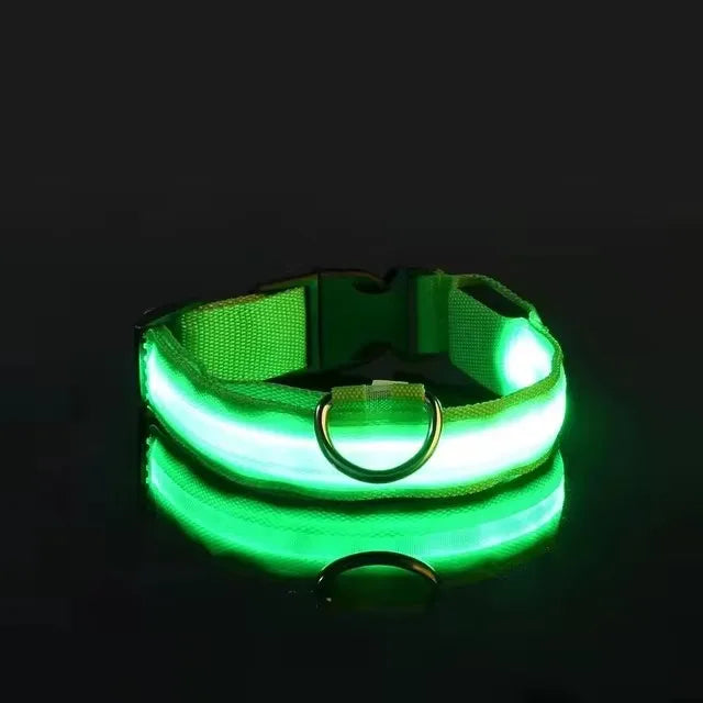 Green LED light-up dog collar displayed on a black background with the LED turned on