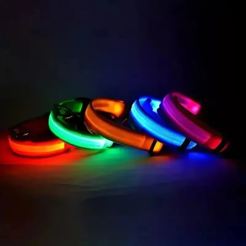 LED light-up dog collars displayed in various colors on a flat surface.