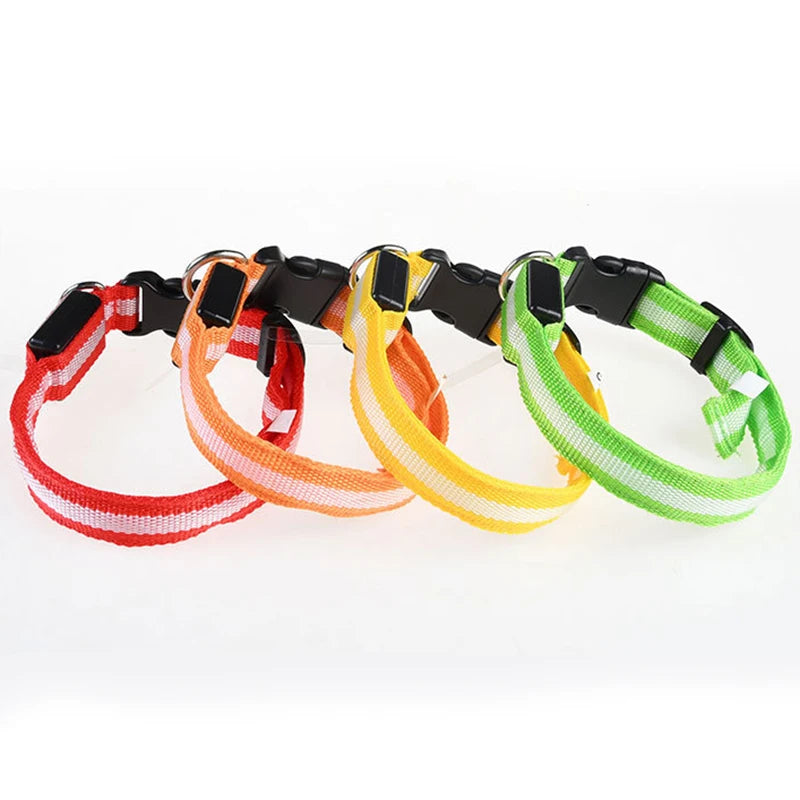 LED light-up dog collars displayed on a white background with the LED turned off