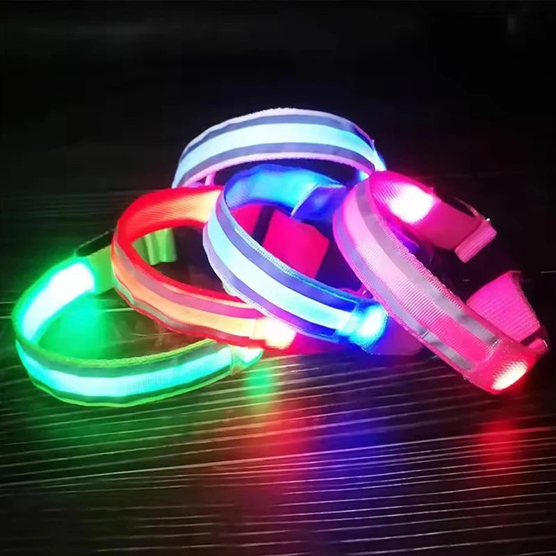 LED light-up dog collars displayed in various colors