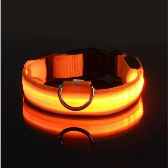 Orange LED light-up dog collar displayed on a black background with the LED turned on