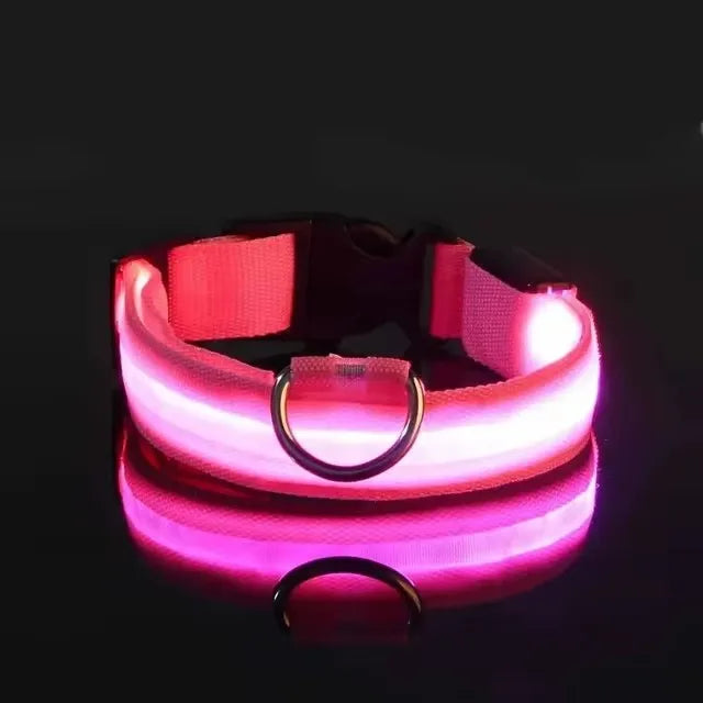 Pink LED light-up dog collar displayed on a black background with the LED turned on
