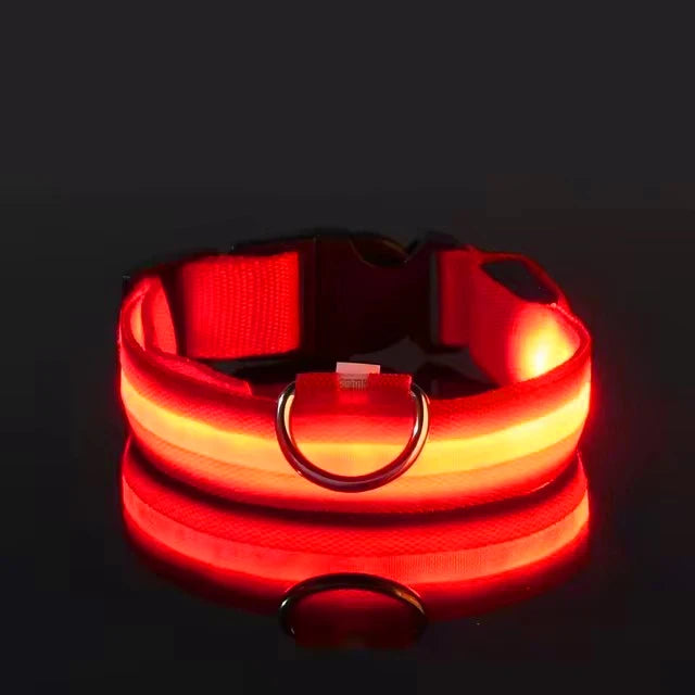 Red LED light-up dog collar displayed on a black background with the LED turned on