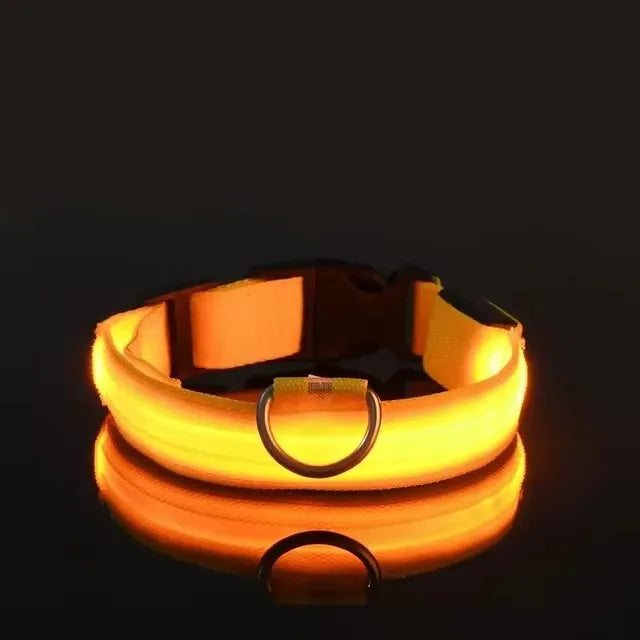 Yellow LED light-up dog collar displayed on a black background with the LED turned on